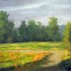 Summer Light 
8X10