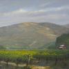 Napa
36X30