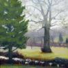 Foggy Sicamore
12 X 16