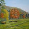 Catskill Fall
16X20